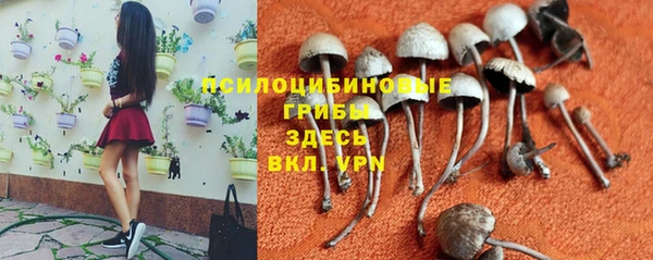 наркотики Алзамай