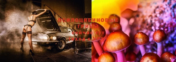 наркотики Алзамай